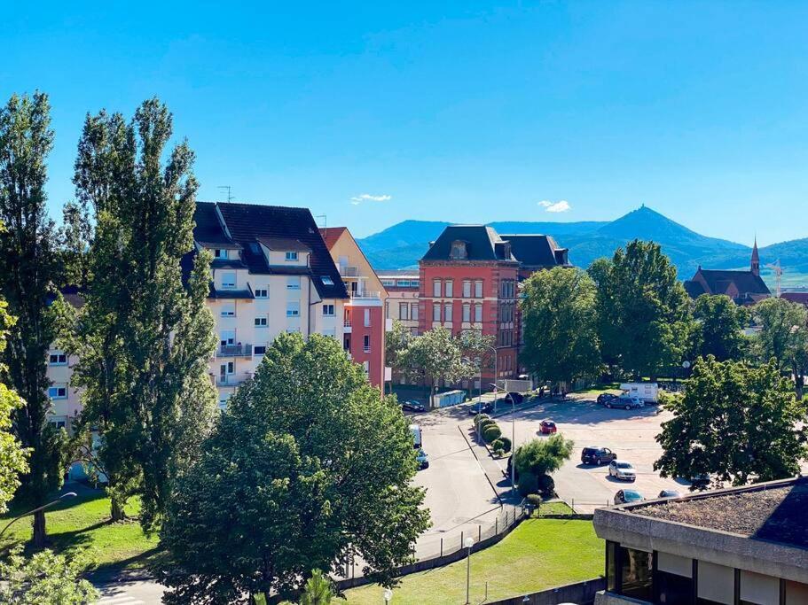 Le Belvedere Alsacien Sélestat Buitenkant foto