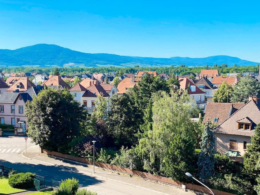 Le Belvedere Alsacien Sélestat Buitenkant foto