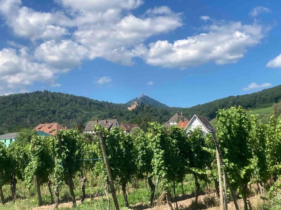 Le Belvedere Alsacien Sélestat Buitenkant foto