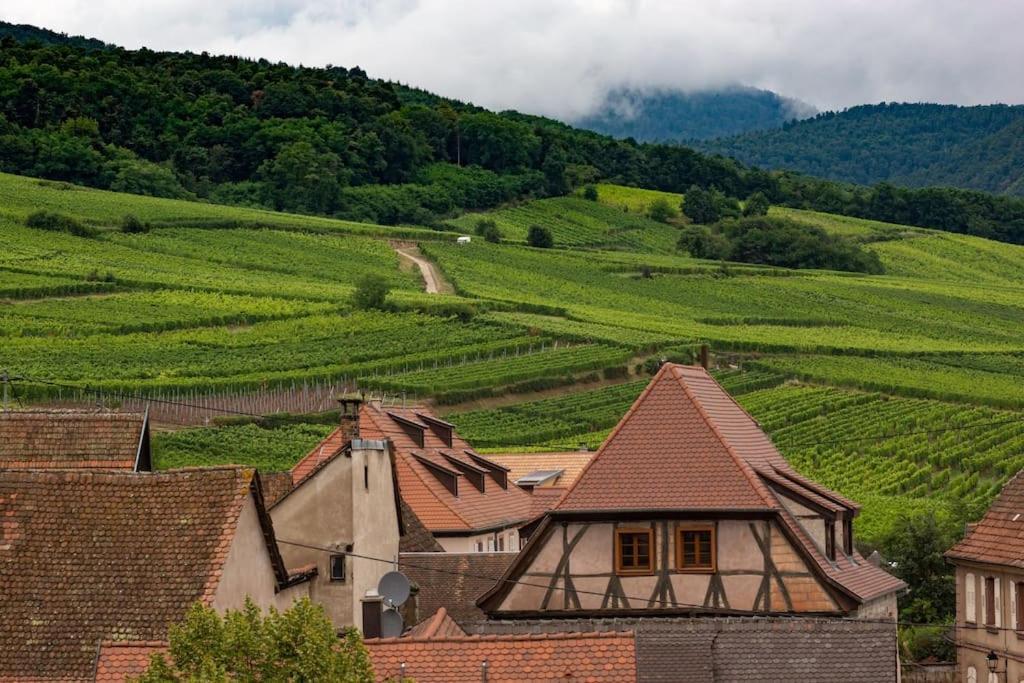 Le Belvedere Alsacien Sélestat Buitenkant foto